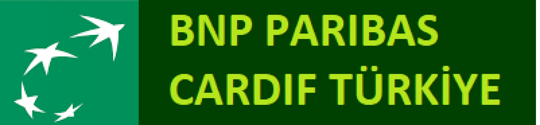 BNP AYRICALIKLARI HIZ KESMEDEN SÜRÜYOR
