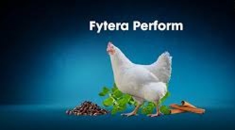 BU ‘PERFORM’ANS BÜYÜK İLGİ GÖREBİLİR