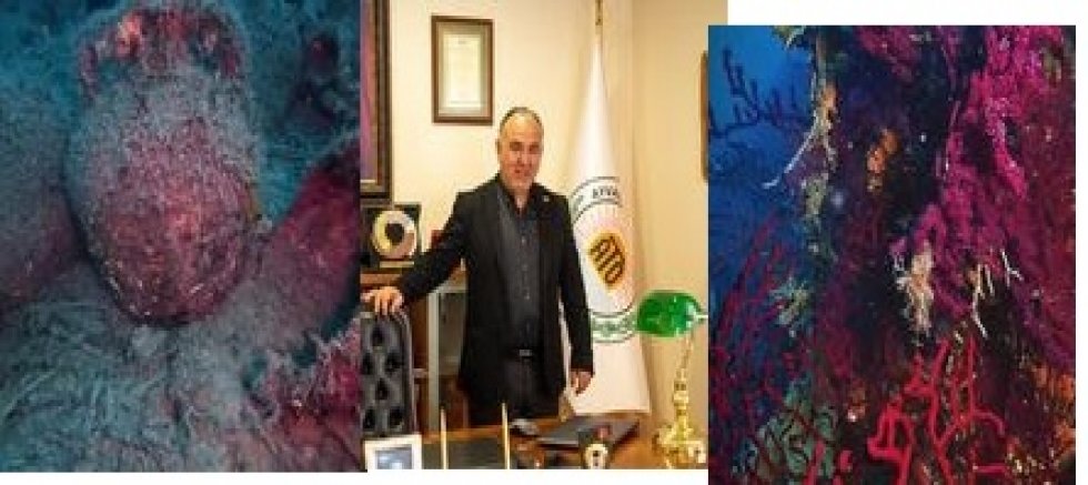AYVALIK TİCARET ODASI’NDAN TARİHİ ADIM:  AYVALIK, SPORTİF AMAÇLI ARKEOLOJİK DALIŞ NOKTASI OLDU