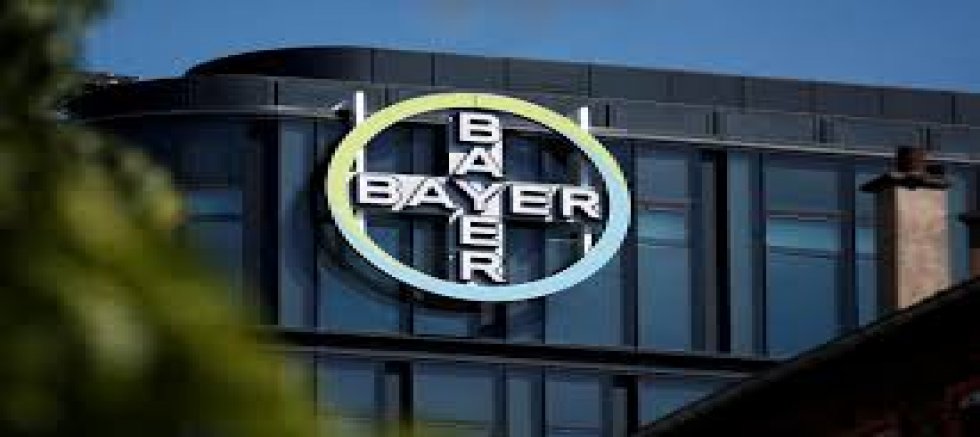 BAYER PAHALIYA UZLAŞTI