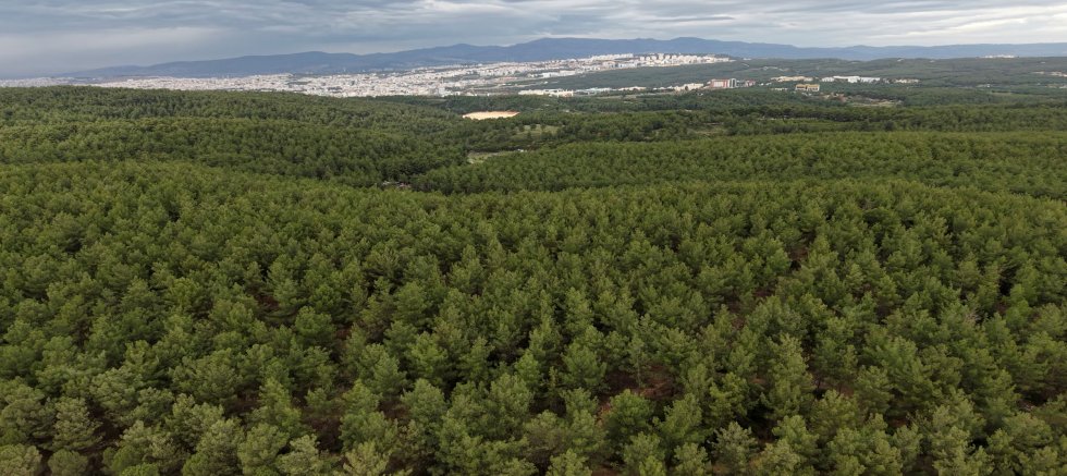 BİR  FİDAN BİLE GELECEKTİR