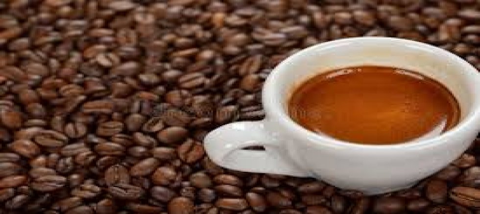 ESPRESSO PROETİN KAPLANDI