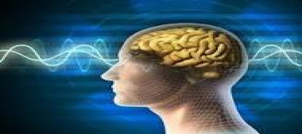  KORKMAYIN!!! İNSAN BEYNİNİN SIRLARINA VAKIF BİR YAPAY ZEKA ASLA GELİŞTİRİLEMEZ!!!