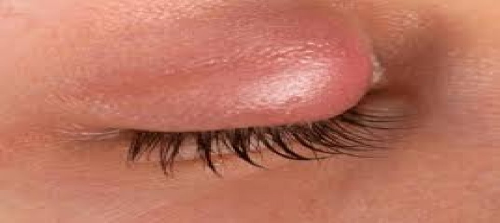 O ESTETİKTE YENİ DÖNEM