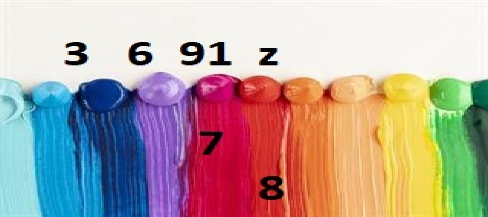 SAYILARLA VE RENKLERLE YAŞIYORUZ