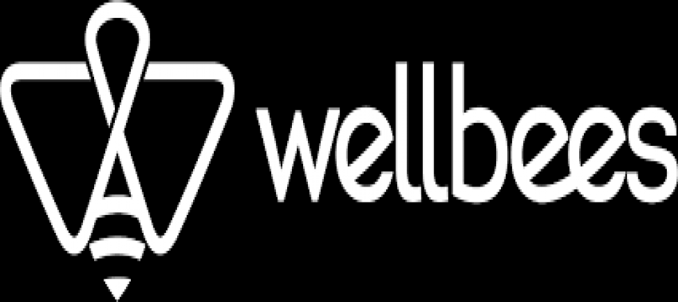 TAM 38 LİSANDA VARLAR