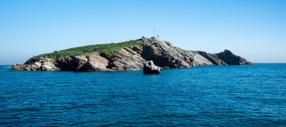 TAVŞAN ADASI, MARMARA’NIN KORUNMASI GEREKEN YAŞAM KAYNAĞIDIR: “AV DEĞİL, YAŞAM ALANI”