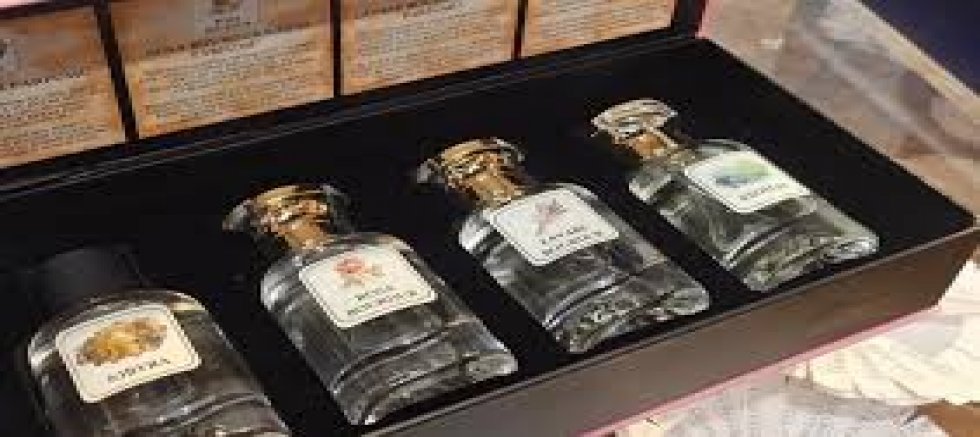 TÜRKİYE’NİN KOKULARI PARFÜMÜN BAŞKENTİNDE