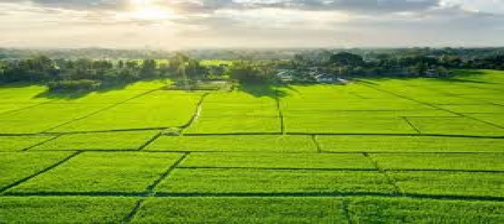 ÜÇ TEMEL UNSUR VAR