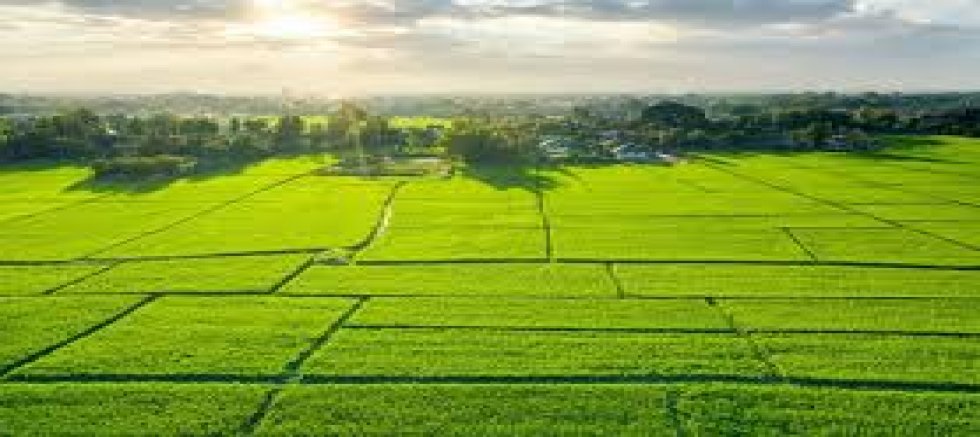 YANLIŞ ARSA ASLA YATIRIM DEĞİLDİR