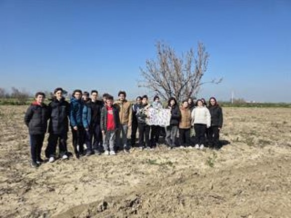 MEĞER DUYARLILIK ONLARIN İŞİYMİŞ