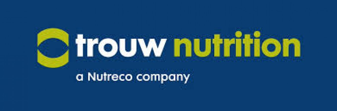 POLATLI'DA DEV YATIRIM