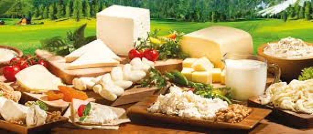 SÜT ÜRÜNLERİNİN BAŞKACA MARİFETLERİ DE VARMIŞ