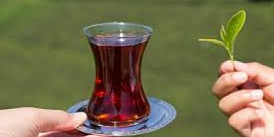 ABARTILMADIĞI SÜRECE KEYİFLE İÇİLEBİLEEK YEGANE SIVI