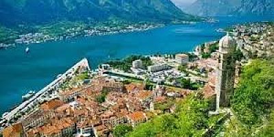 ARİ BU KEZ USLU DURALIM