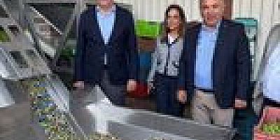 AYVALIK TİCARET ODASI BAŞKANI ALİ UÇAR “ZEYTİNYAĞI İHRACATINDA EN BÜYÜK SORUN MARKASIZLIK”
