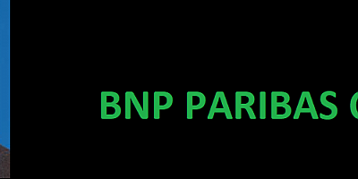 BNP'DE BİR ATAMA DAHA