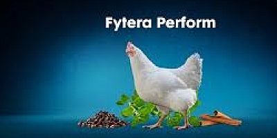 BU ‘PERFORM’ANS BÜYÜK İLGİ GÖREBİLİR