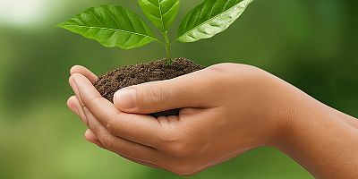 BU RAPOR GELECEĞE IŞIK TUTACAK