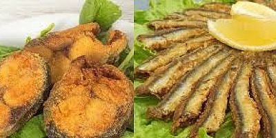 BU YIL PALAMUT TAVAYI UNUTUN