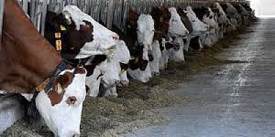 DESTEK ORANLARI YENİDEN BELİRLENDİ! İLAVE DESTEK ÖDENEKLERİ VAR!!!