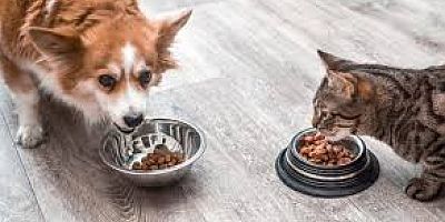 DEV SATIN ALMA İŞLEMİ GERÇEKLEŞECEK VE İZMİR YATIRIMA BOĞULACAK