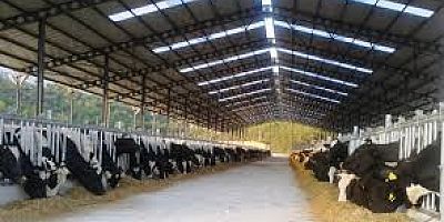 DOĞALIĞI BIRAKIP İŞİN  İÇİNE ENDÜSTRİYELİK GİRİNCE!!!