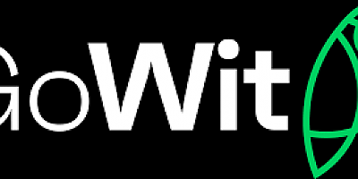 GOWIT, EMEA’NIN EN BÜYÜK TiCARET VE PERAKENDE MEDYA REKLAM AĞINI KURUYOR