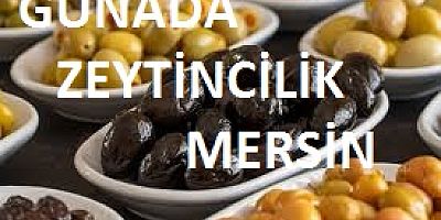 GÜNADA ZEYTİNCİLİK’E TEŞEKKÜR VE ŞÜKRAN