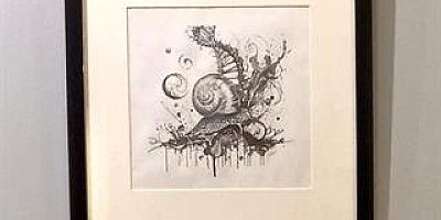 HAYATI YAVAŞLAT ÇAĞRISI!!!!!!!!!