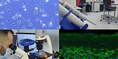 HİÇBİRİNİN MASUMİYETİEN KANMAYIN