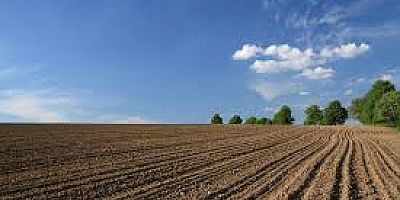 HİSSELİ ARSA ALIRKEN AMAN DİKKAT!!!