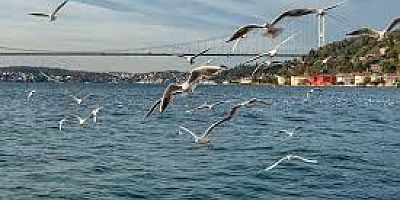 İSTANBULUN MARTILARINI YEDİK BİTİRDİK
