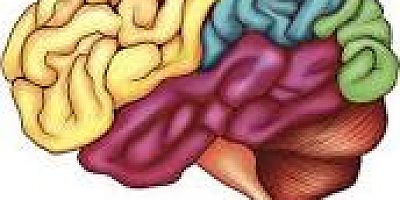  KORKMAYIN!!! İNSAN BEYNİNİN SIRLARINA VAKIF BİR YAPAY ZEKA ASLA GELİŞTİRİLEMEZ!!!