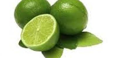  LİMON MÖNÜLERİN GÖRSELLERİNDE TARİH OLDU