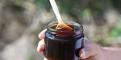 MESİR MUCUNUMUZU AB DE TESCİLLEDİ