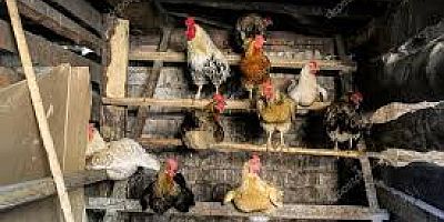 O SEKTÖRDE YENİ DÖNEM