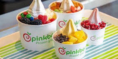 PINKBERRY MODA OLDU