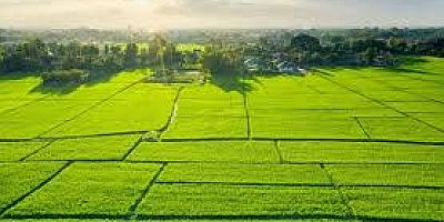 SEÇİM SİZİN AMA...