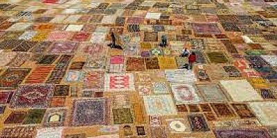 ŞİMDİ HALI HASADI ZAMANI