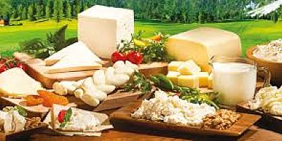 SÜT ÜRÜNLERİNİN BAŞKACA MARİFETLERİ DE VARMIŞ