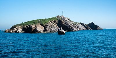 TAVŞAN ADASI, MARMARA’NIN KORUNMASI GEREKEN YAŞAM KAYNAĞIDIR: “AV DEĞİL, YAŞAM ALANI”