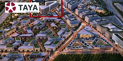  TAYA İSTANBUL İÇİN ŞAHA KALKTI