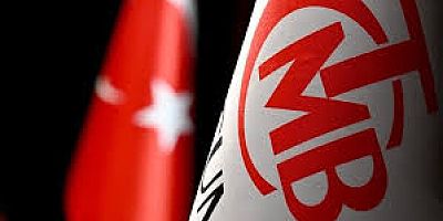 TCMB'YE GÖRE 'EM' SİSTEMİ KORUYUCUYMUŞ!!!