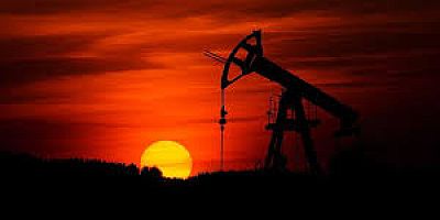 TPAO ALTI LDE RUHSAT UZATIYOR