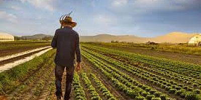 TURİZMİN ORTA VADEDEKİ YENİ ATEŞLEYİCİSİ TARIM TURİZMİ OLABİLİR