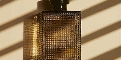 TÜRKİYE'YE GELİYORLAR