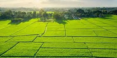 ÜÇ TEMEL UNSUR VAR