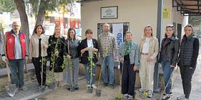 USKD, SELLUKA ÇİÇEĞİNİ YENİ NESİLLERE TANITIYOR