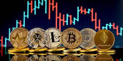 YATIRIMCI KRİPTOYA ALIŞMIŞA BENZİYOR